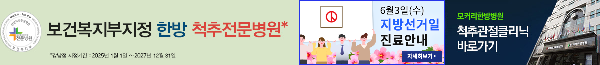 지방선거일