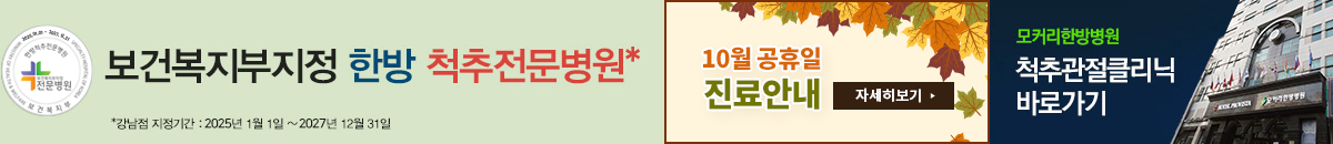 10월 공휴일