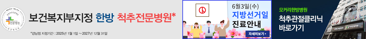 지방선거일